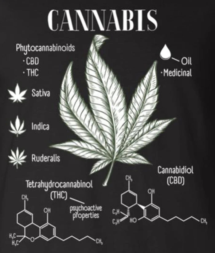 Cannabis Illustration Weed Lover T-Shirt 100% Cotton O-Neck Summer Short Sleeve Casual Mens T-shirt Size S-3XL